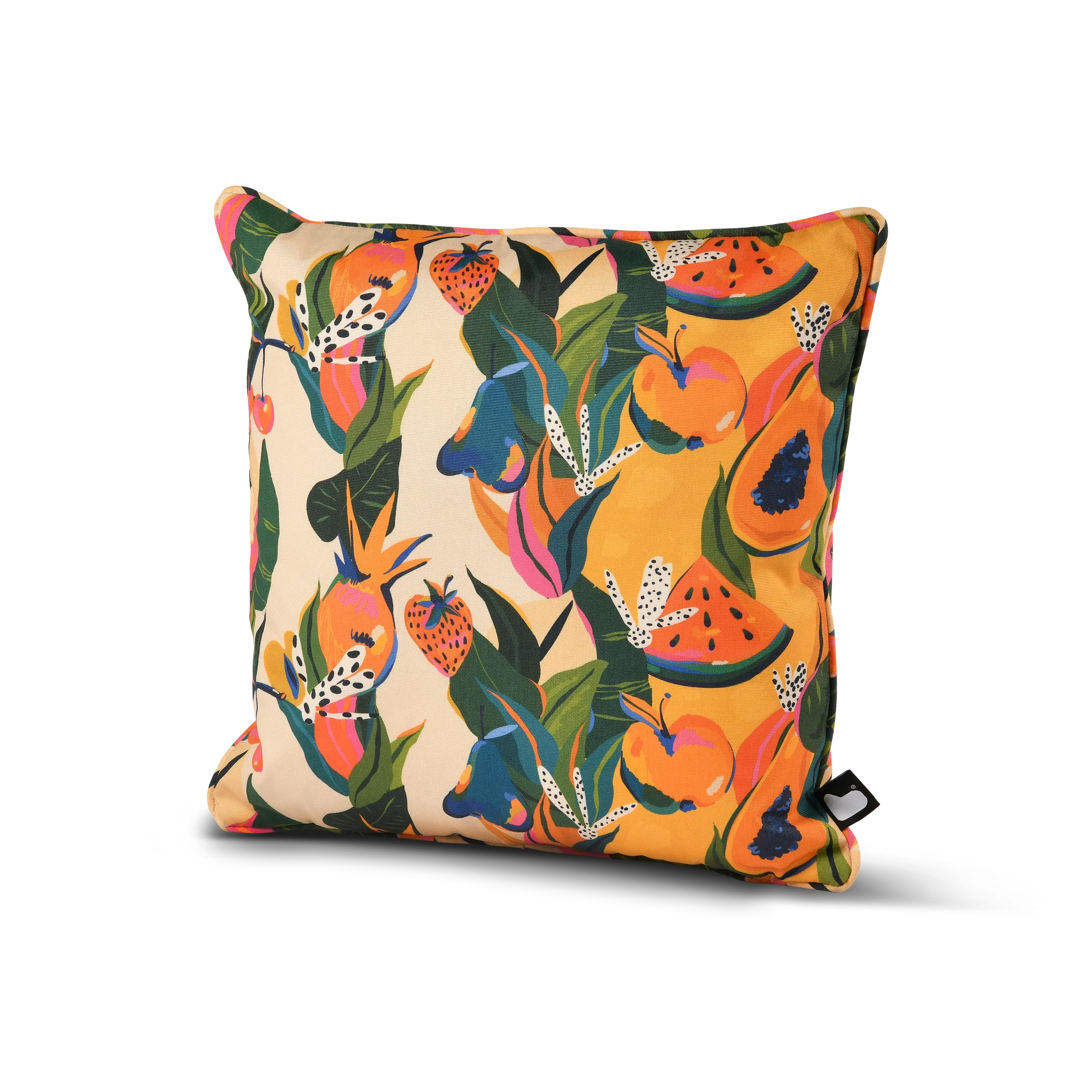 Extreme Lounging Outdoor B-Cushion Fruit Art | Pack of 2